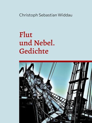 cover image of Flut und Nebel